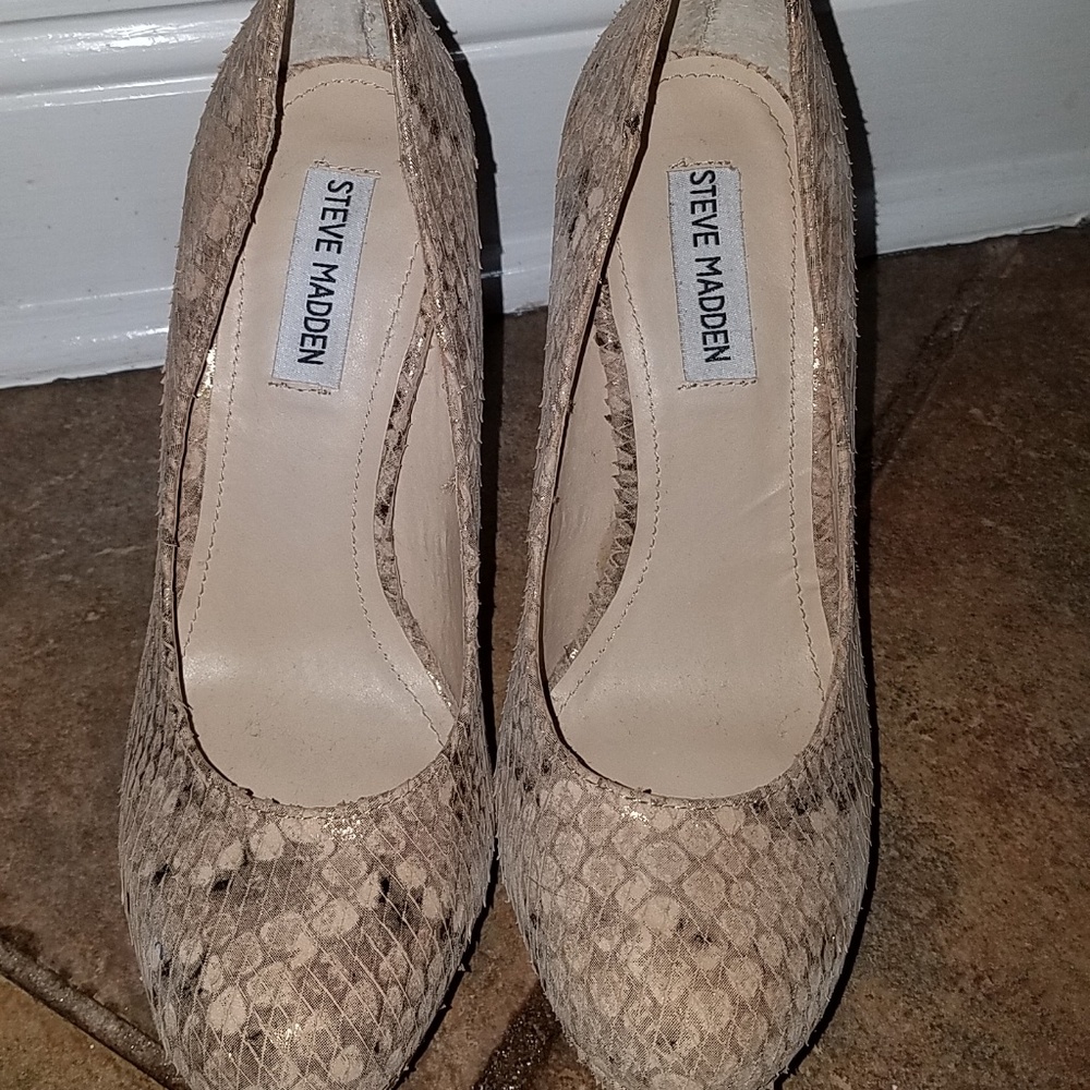 Steve madden